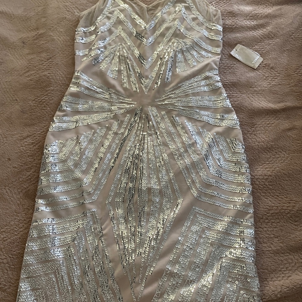Sequin Blush and Silver